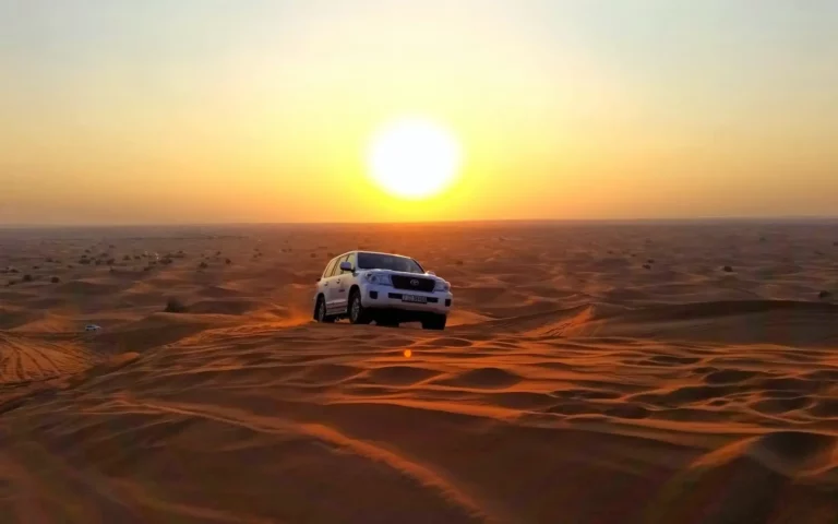Best Evening Desert Safari