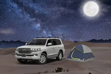 Overnight Desert Safari image