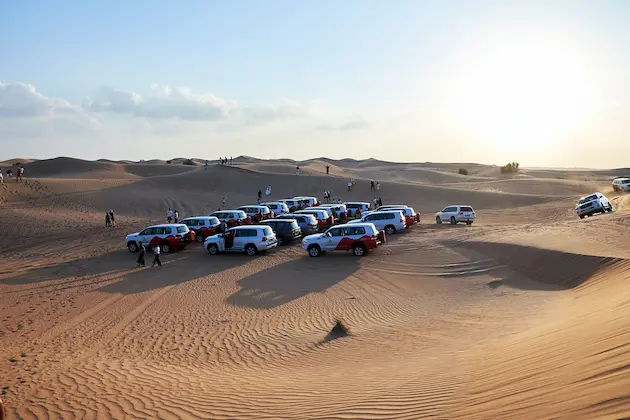 Desert Safari Without Dune Bashing