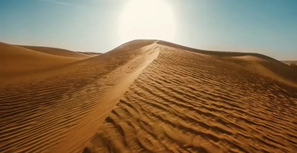 Daytime Desert Safari in Dubai