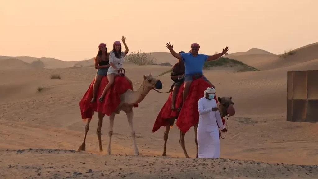Morning Desert Safari Abu Dhabi