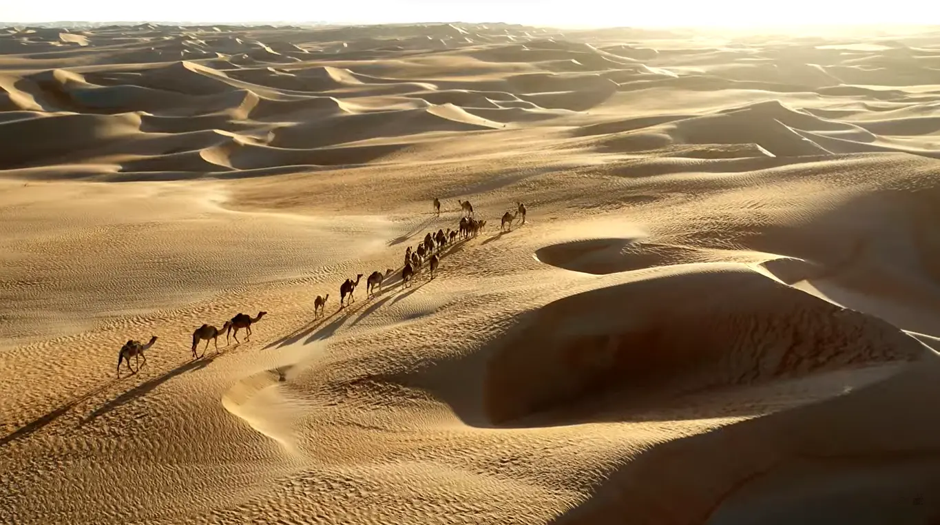 Welcome to the Desert Safari Without Dune Bashing. When most people think of a desert safari, images of high-speed dune criticizing, exciting