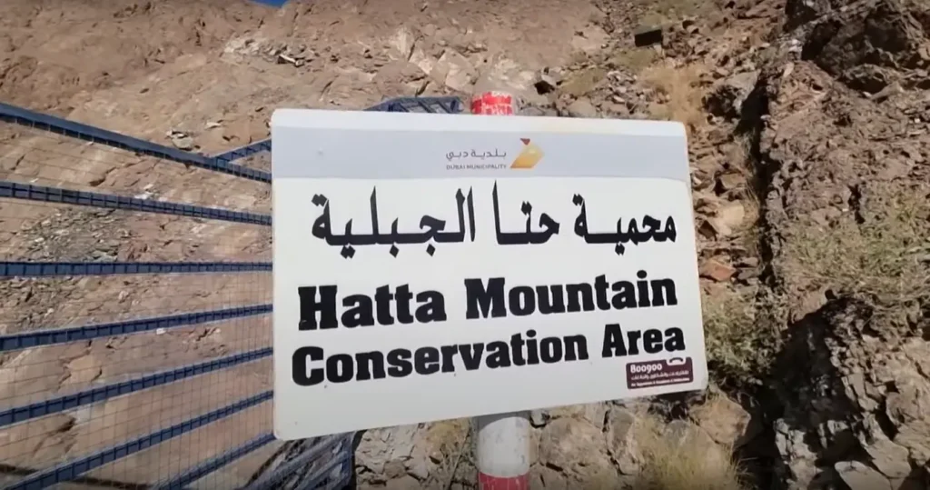 hatta dubai tour