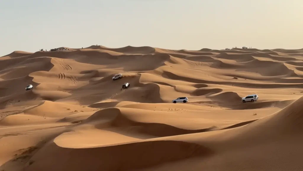 morning desert safari