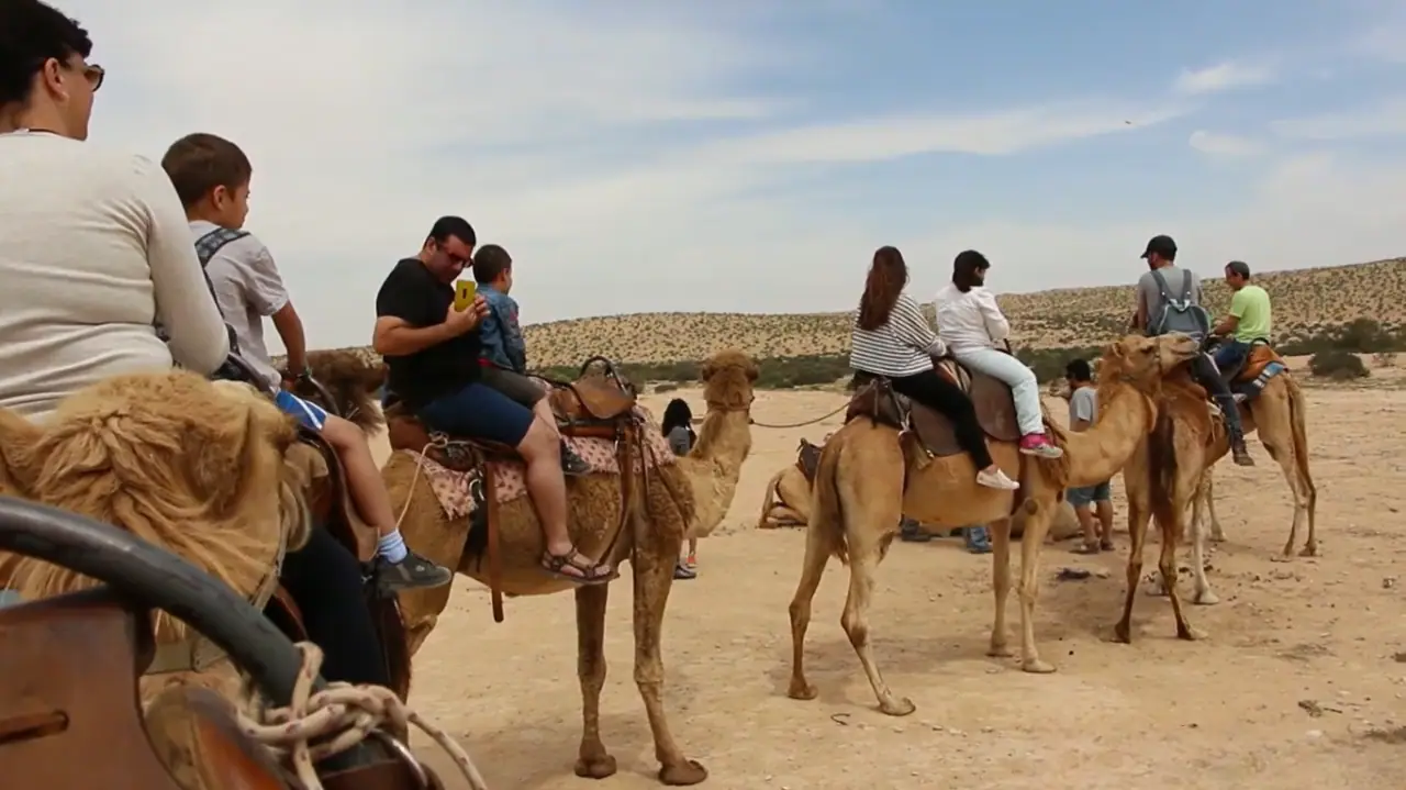 riding on camel in morning time during desert safari