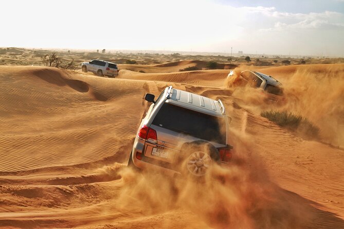 Private Morning Desert Safari in Dubai 