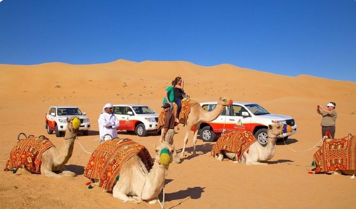 morning desert safari dubai
