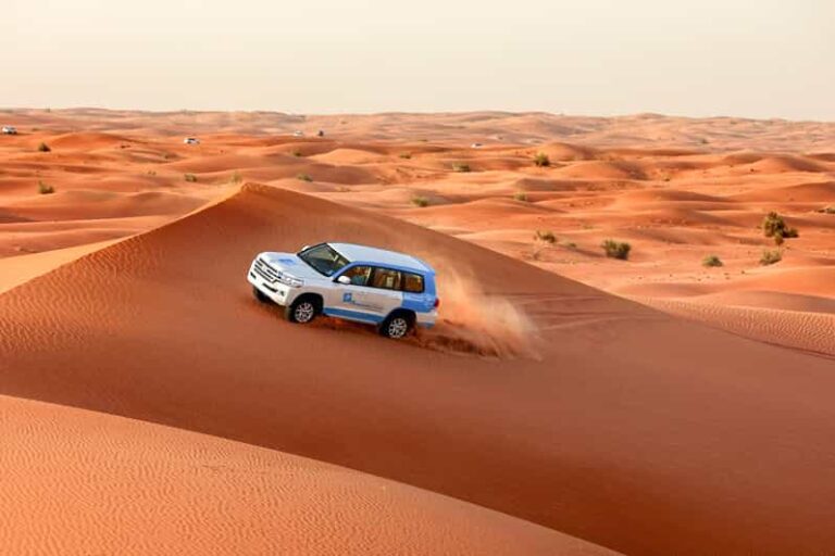liwa desert safari