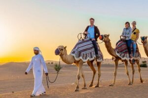 Morning Desert Safari