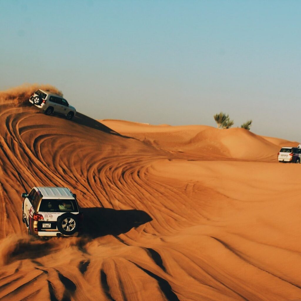 liwa desert safari