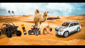 Desert safari Dubai Morning Deals