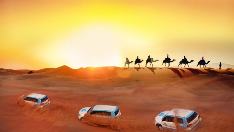 morning desert safaris abu dhabi