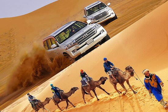 liwa desert safari abu dhabi