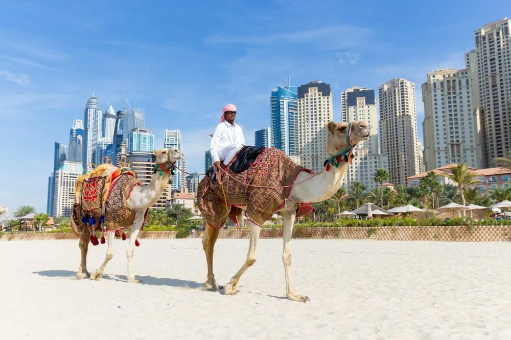 Dubai City Tour Desert Safari