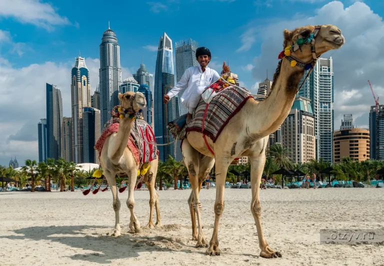Dubai City Tour Desert Safari