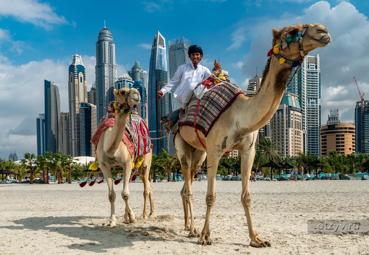 Dubai City Tour Desert Safari