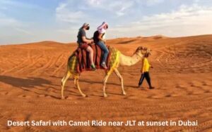 Camel Ride Experiences in Dubai