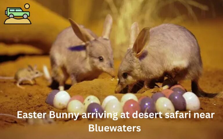 Desert Safari Easter Celebration in Dubai Near Blue Water 2025