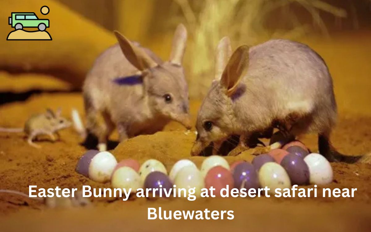 Desert Safari Easter Celebration in Dubai Near Blue Water 2025