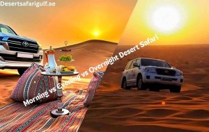 Morning vs Evening vs Overnight Desert Safari Desert Safari Gulf