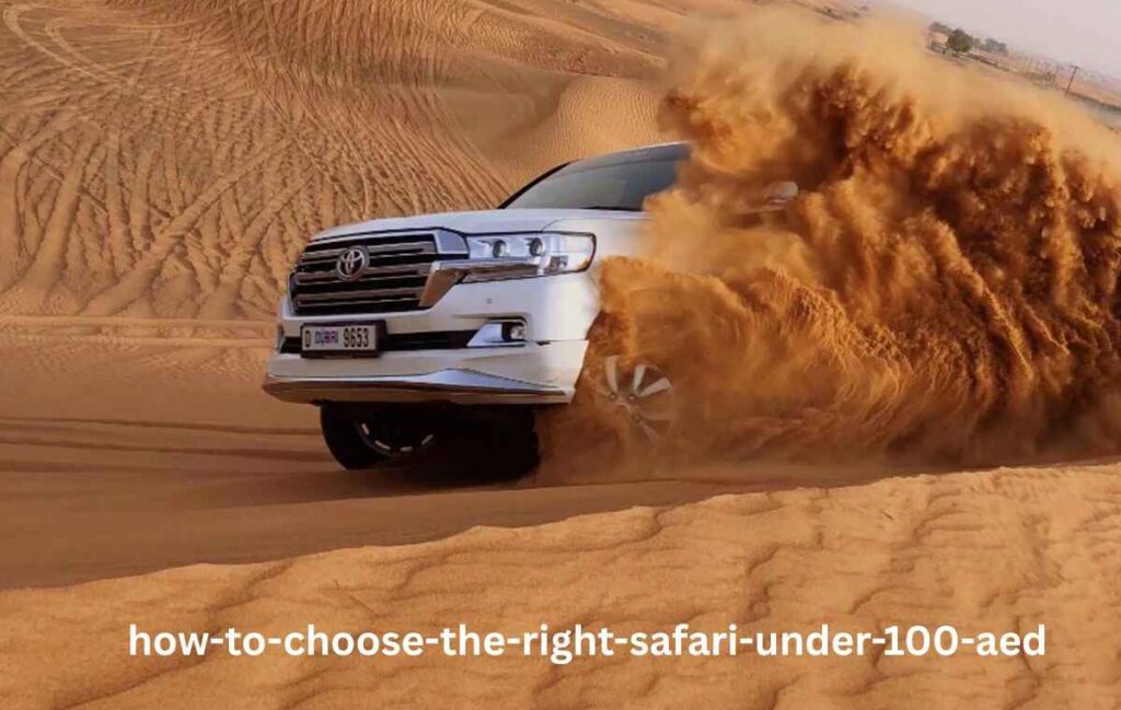How to Choose the Right Safari Under 100 AED