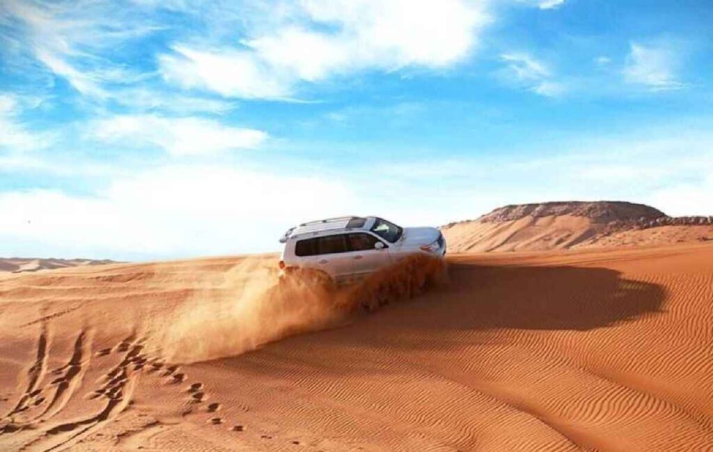 Red Dune Safari vs Standard Desert Safari