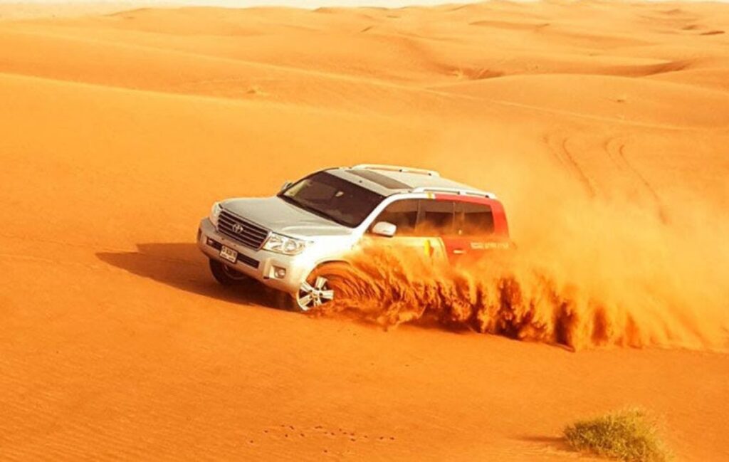 Red Dune Safari vs Standard Desert Safari