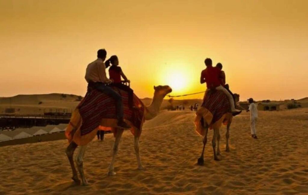 Best Time for Desert Safari in Dubai for camel riding